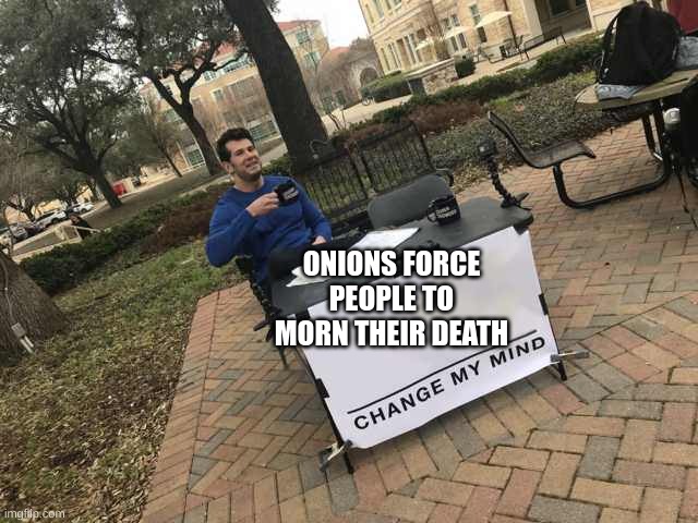 Prove me wrong |  ONIONS FORCE PEOPLE TO MORN THEIR DEATH | image tagged in prove me wrong | made w/ Imgflip meme maker