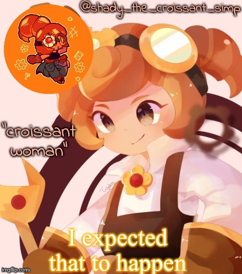 I expected that to happen | image tagged in yet another croissant woman temp thank syoyroyoroi | made w/ Imgflip meme maker