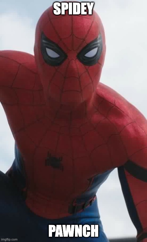 New Spider-Man  | SPIDEY; PAWNCH | image tagged in new spider-man | made w/ Imgflip meme maker