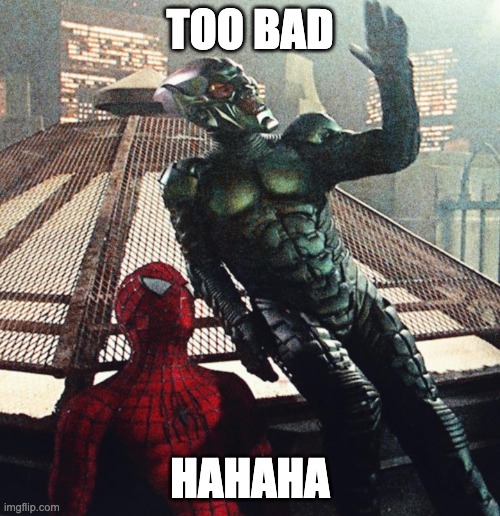 Green goblin convincing spiderman | TOO BAD; HAHAHA | image tagged in green goblin convincing spiderman | made w/ Imgflip meme maker