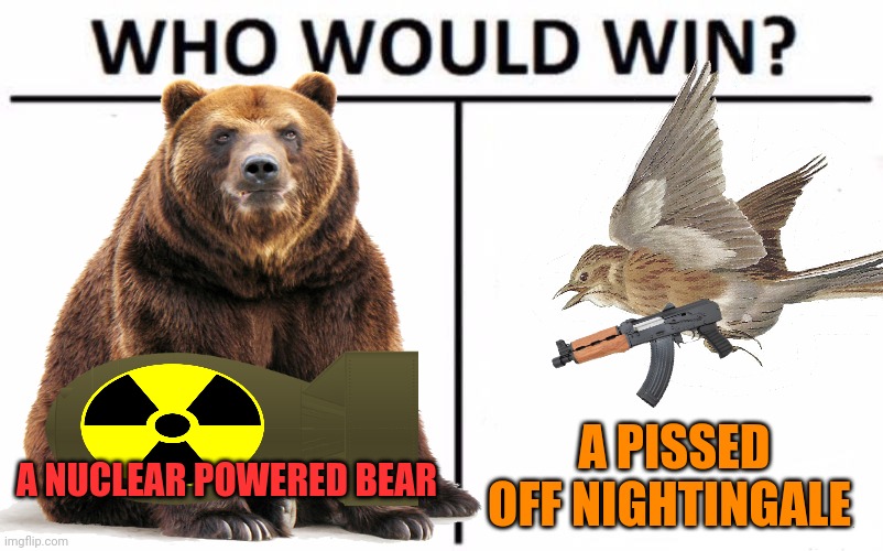 Who would win | A PISSED OFF NIGHTINGALE; A NUCLEAR POWERED BEAR | image tagged in who would win,bear,russia,ukraine,nightingale | made w/ Imgflip meme maker