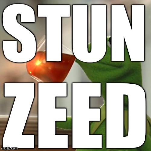 But That's None Of My Business | STUN; ZEED | image tagged in memes,but that's none of my business,kermit the frog | made w/ Imgflip meme maker