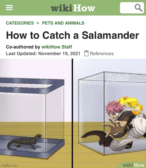 Salamander Fairy Tail Natsu Dragneel Meme | image tagged in memes,fairy tail,fairy tail meme,anime,natsu dragneel,anime meme | made w/ Imgflip meme maker