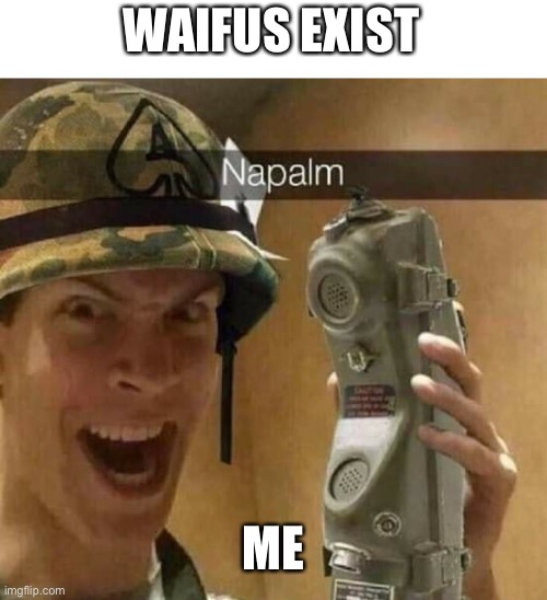 Napalm | WAIFUS EXIST; ME | image tagged in napalm | made w/ Imgflip meme maker