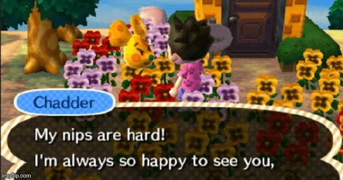 i used to have him on my island | made w/ Imgflip meme maker