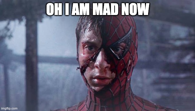 Spider-Man Mask | OH I AM MAD NOW | image tagged in spider-man mask | made w/ Imgflip meme maker