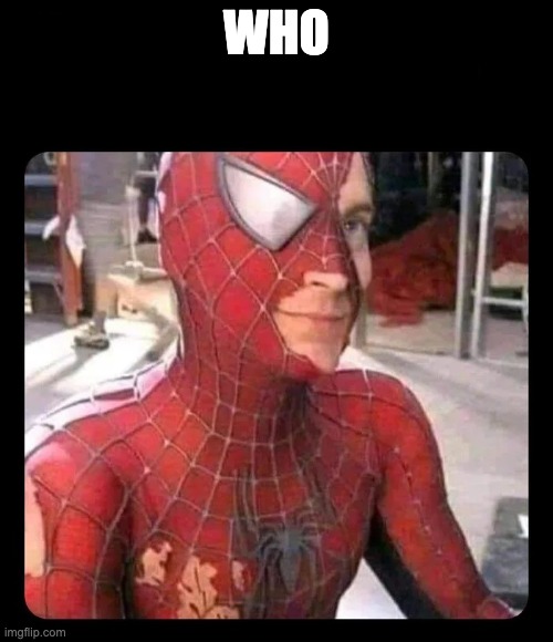 Spider man torn costume | WHO | image tagged in spider man torn costume | made w/ Imgflip meme maker