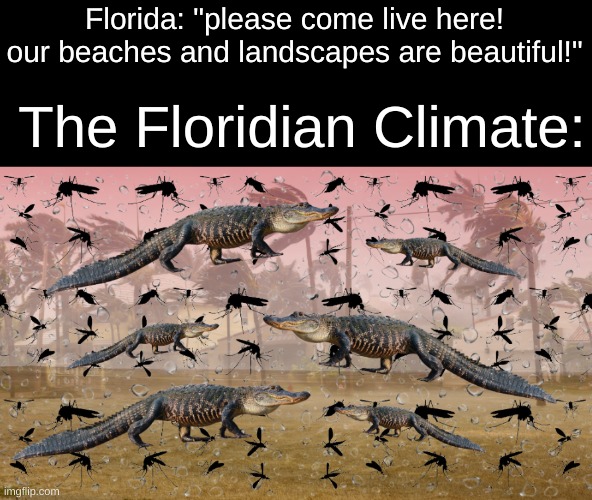 Not to mention Florida Man... |  Florida: "please come live here! our beaches and landscapes are beautiful!"; The Floridian Climate: | image tagged in florida,meanwhile in florida,mosquitoes,alligator,oh wow are you actually reading these tags,stop reading the tags | made w/ Imgflip meme maker