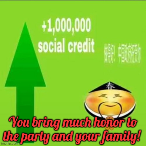 +1000000 social credit | You bring much honor to the party and your family! | image tagged in 1000000 social credit | made w/ Imgflip meme maker