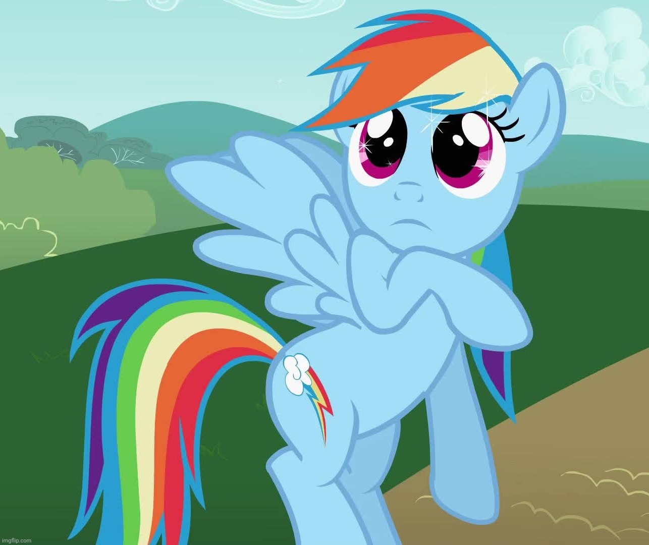 Fangirl Rainbow Dash (MLP) | image tagged in fangirl rainbow dash mlp | made w/ Imgflip meme maker