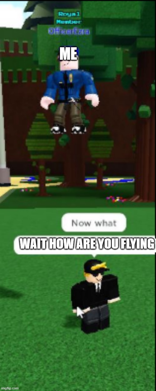 LAG | ME; WAIT HOW ARE YOU FLYING | image tagged in roblox meme | made w/ Imgflip meme maker