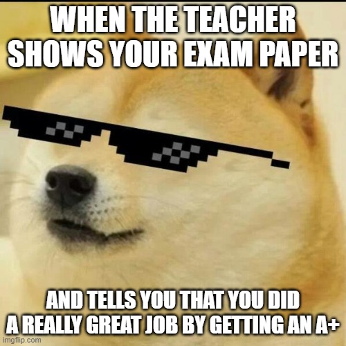 Teacher Shows your Exam Paper | WHEN THE TEACHER SHOWS YOUR EXAM PAPER; AND TELLS YOU THAT YOU DID A REALLY GREAT JOB BY GETTING AN A+ | image tagged in sunglass doge,doge,school | made w/ Imgflip meme maker