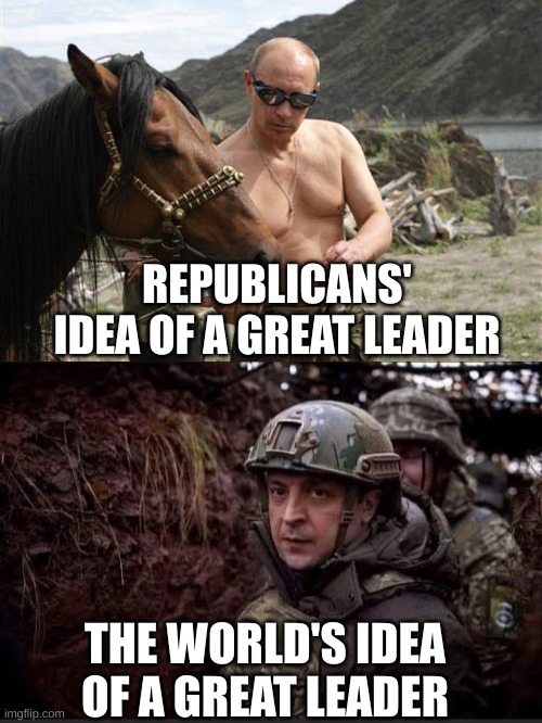 Who's sexy now, you corrupt b*tches? | REPUBLICANS' IDEA OF A GREAT LEADER; THE WORLD'S IDEA OF A GREAT LEADER | image tagged in putin with a horse,zelensky | made w/ Imgflip meme maker
