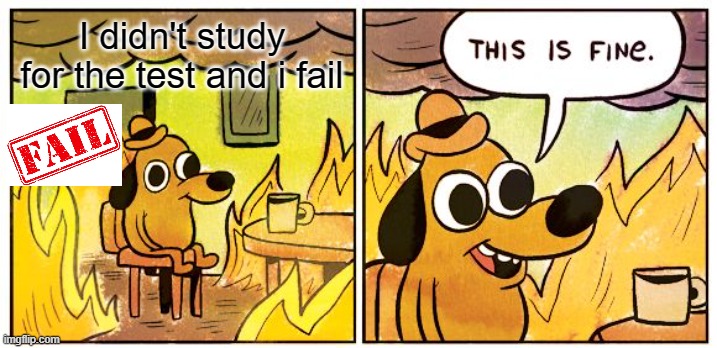 This Is Fine | I didn't study for the test and i fail | image tagged in memes,this is fine | made w/ Imgflip meme maker