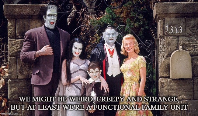 Family Values | WE MIGHT BE WEIRD, CREEPY AND STRANGE, BUT AT LEAST WE'RE A FUNCTIONAL FAMILY UNIT | image tagged in values,dysfunctional,the munsters,family,love,horror | made w/ Imgflip meme maker