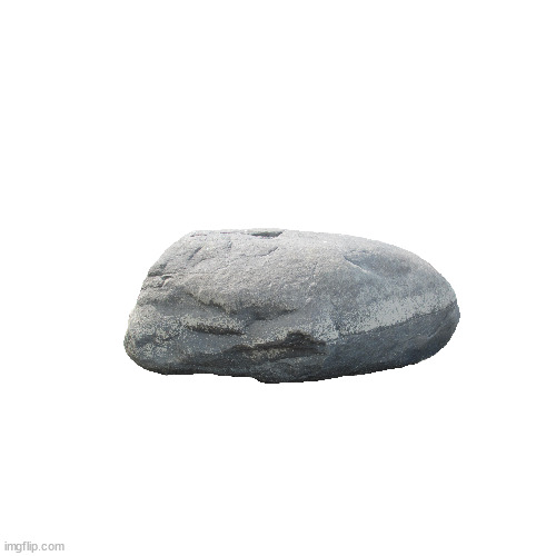someone watch my pet rock  aka rocky bc imma go to roblox | image tagged in memes,blank transparent square | made w/ Imgflip meme maker