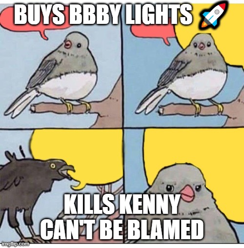 two birds | BUYS BBBY LIGHTS 🚀; KILLS KENNY CAN'T BE BLAMED | image tagged in two birds,Superstonk | made w/ Imgflip meme maker