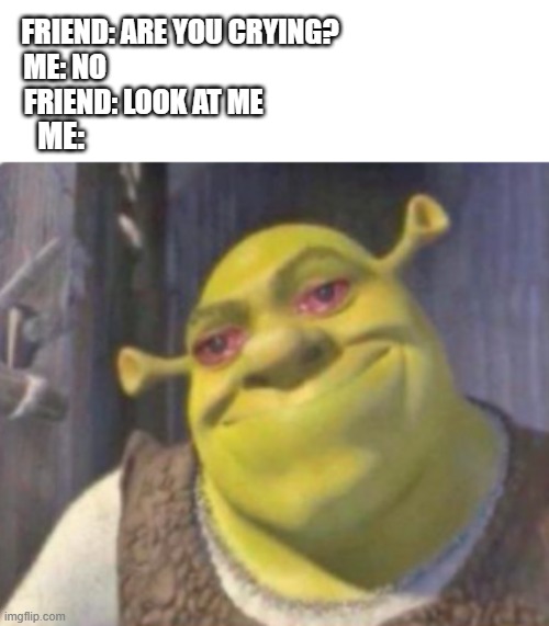 It's just how it is | FRIEND: ARE YOU CRYING?                           
ME: NO                                                                    
FRIEND: LOOK AT ME; ME: | image tagged in shrek | made w/ Imgflip meme maker