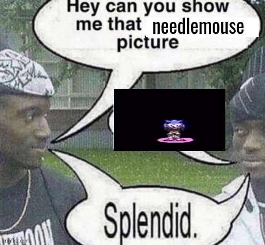 Splendid. | needlemouse | made w/ Imgflip meme maker