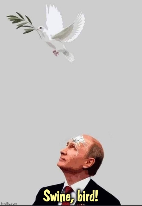 Blessed are the peacemakers. | Swine, bird! | image tagged in putin and the dove of peace,putin,war,ukraine,dove,peace | made w/ Imgflip meme maker
