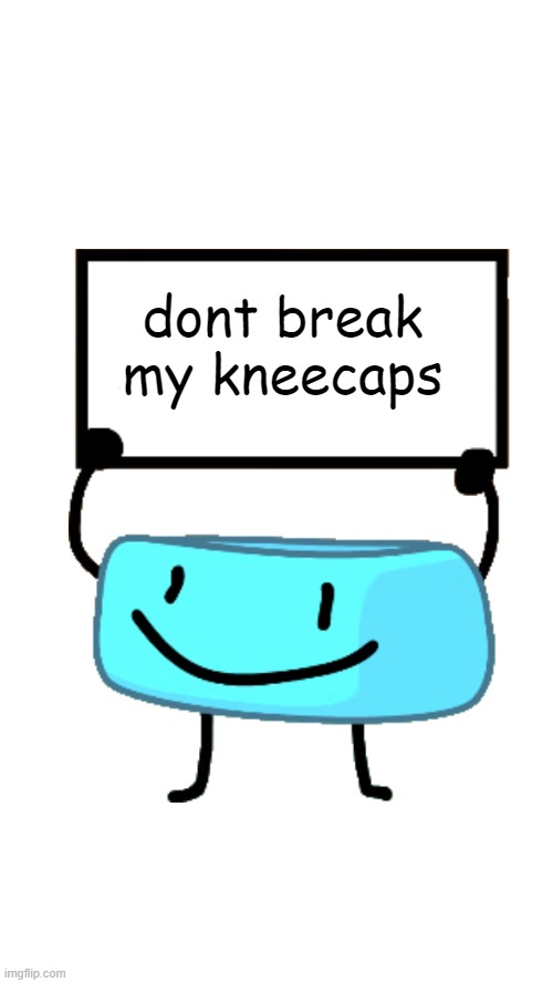 Braceletey BFB | dont break my kneecaps | image tagged in braceletey bfb | made w/ Imgflip meme maker