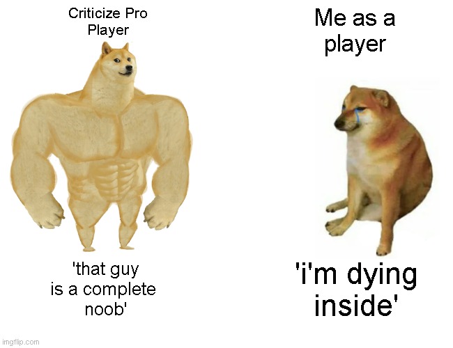 Keyboard warrior life | Criticize Pro
Player; Me as a
player; 'that guy
is a complete 
noob'; 'i'm dying
inside' | image tagged in memes,buff doge vs cheems | made w/ Imgflip meme maker
