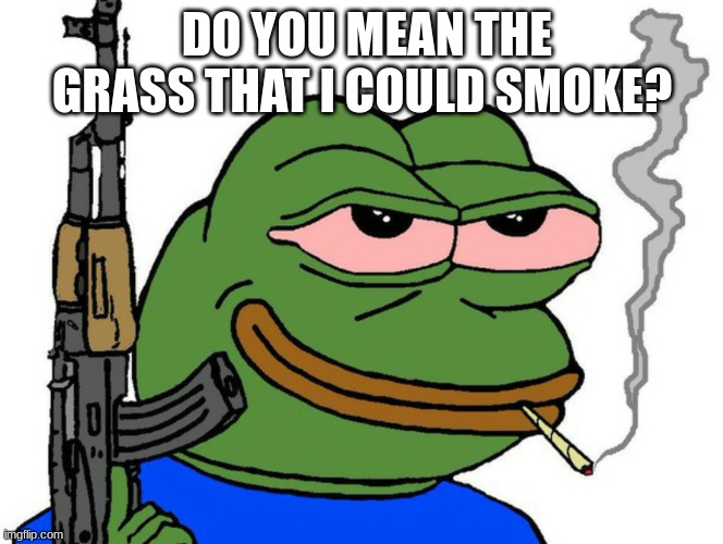 pepe with gun | DO YOU MEAN THE GRASS THAT I COULD SMOKE? | image tagged in pepe with gun | made w/ Imgflip meme maker
