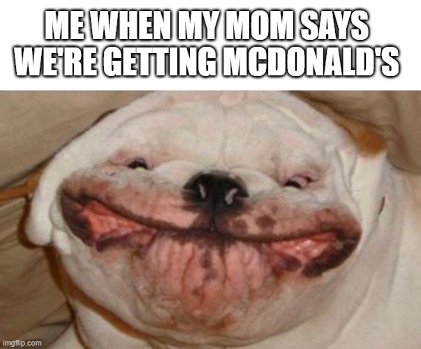 Ahh yes | ME WHEN MY MOM SAYS WE'RE GETTING MCDONALD'S | image tagged in dog | made w/ Imgflip meme maker