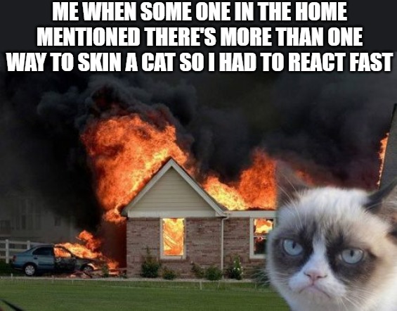 take no prisoners | ME WHEN SOME ONE IN THE HOME MENTIONED THERE'S MORE THAN ONE WAY TO SKIN A CAT SO I HAD TO REACT FAST | image tagged in memes,burn kitty,grumpy cat | made w/ Imgflip meme maker