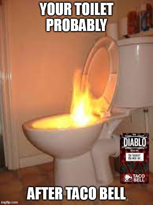 Taco bell | image tagged in taco bell,toilet | made w/ Imgflip meme maker