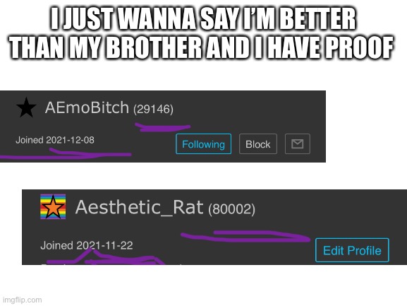 Blank White Template | I JUST WANNA SAY I’M BETTER THAN MY BROTHER AND I HAVE PROOF | image tagged in blank white template | made w/ Imgflip meme maker