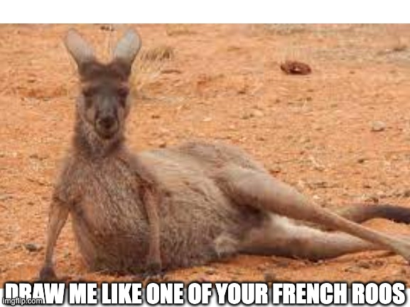 yes, i realise they are native to australia |  DRAW ME LIKE ONE OF YOUR FRENCH ROOS | image tagged in kangaroo,draw me like one of your french girls | made w/ Imgflip meme maker