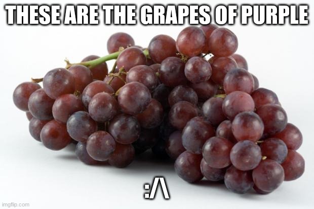 Grapes | THESE ARE THE GRAPES OF PURPLE; :/\ | image tagged in grapes,purple | made w/ Imgflip meme maker