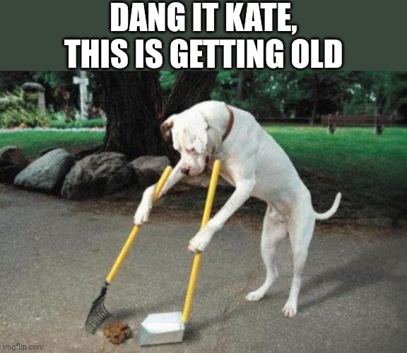 Dog poop | DANG IT KATE, THIS IS GETTING OLD | image tagged in dog poop | made w/ Imgflip meme maker