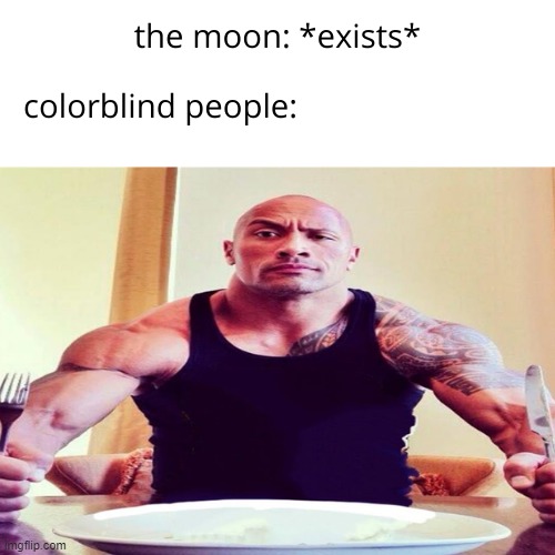 you're just going to space when you believe the moon is cheese | image tagged in the rock,meme,memes | made w/ Imgflip meme maker