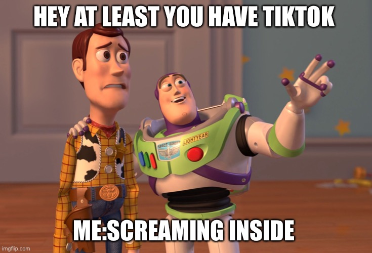 True do | HEY AT LEAST YOU HAVE TIKTOK; ME:SCREAMING INSIDE | image tagged in memes,x x everywhere | made w/ Imgflip meme maker