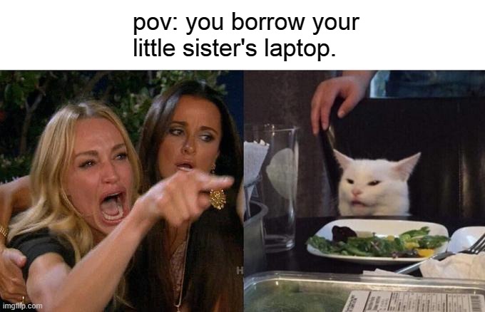 Woman Yelling At Cat | pov: you borrow your little sister's laptop. | image tagged in memes,woman yelling at cat | made w/ Imgflip meme maker