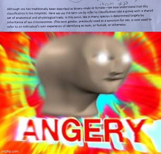 image tagged in surreal angery | made w/ Imgflip meme maker