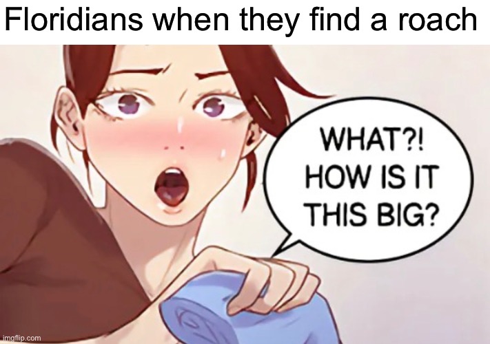 Floridians when they find a roach | made w/ Imgflip meme maker