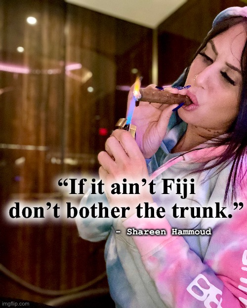 Fiji water | “If it ain’t Fiji don’t bother the trunk.”; - Shareen Hammoud | image tagged in meditation,funny memes,inspirational quote,quotes,inspiration,mental health | made w/ Imgflip meme maker