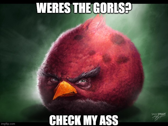 Realistic Angry Bird (big red) | WERES THE GORLS? CHECK MY ASS | image tagged in realistic angry bird big red | made w/ Imgflip meme maker