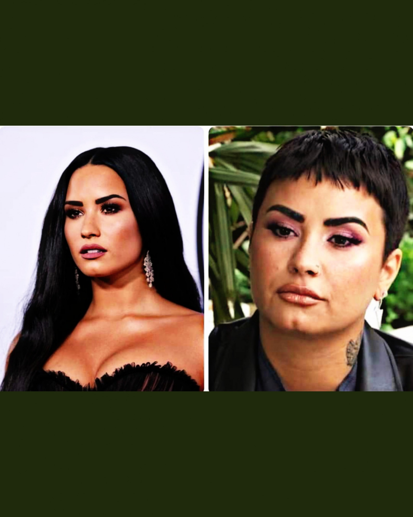 High Quality From Demi Lovato To Demi LaVato Blank Meme Template