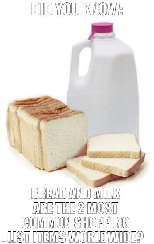 Fun fact | DID YOU KNOW:; BREAD AND MILK ARE THE 2 MOST COMMON SHOPPING LIST ITEMS WORLDWIDE? | image tagged in bread,milk | made w/ Imgflip meme maker
