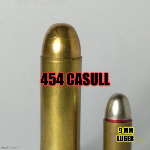 Mega magnum | 454 CASULL; 9 MM LUGER | image tagged in 454 casull,9mm,pistol,bullets | made w/ Imgflip meme maker