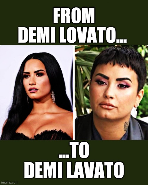 From Demi Lovato To Demi LaVato | FROM
DEMI LOVATO... ...TO
DEMI LAVATO | image tagged in from demi lovato to demi lavato,demi lovato,demi lavato | made w/ Imgflip meme maker