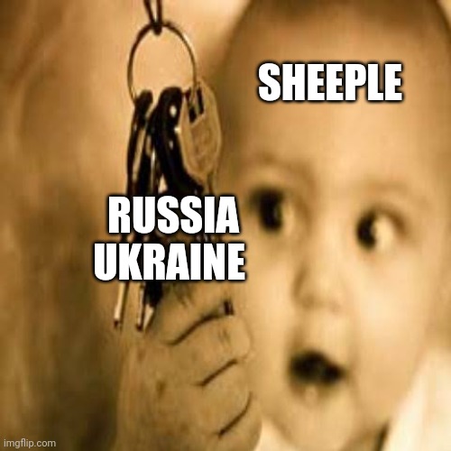 What covid ? | SHEEPLE; RUSSIA
UKRAINE | made w/ Imgflip meme maker