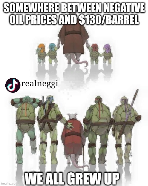 Oil to the moon | SOMEWHERE BETWEEN NEGATIVE OIL PRICES AND $130/BARREL; realneggi; WE ALL GREW UP | image tagged in ninja turtle growing up | made w/ Imgflip meme maker