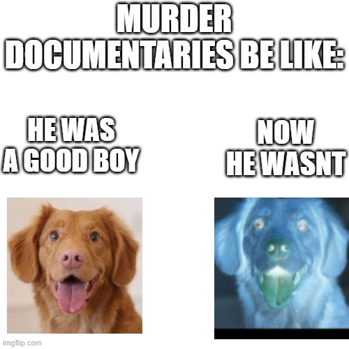 doggo NOOOOOOO!!!! | MURDER DOCUMENTARIES BE LIKE:; HE WAS A GOOD BOY; NOW HE WASNT | image tagged in memes,blank transparent square,dogs | made w/ Imgflip meme maker