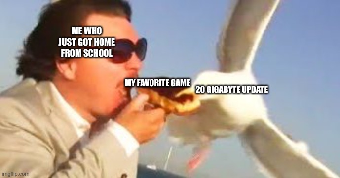 The same game has done this to me multiple times. Why can’t you need updates on the weekend? | ME WHO JUST GOT HOME FROM SCHOOL; MY FAVORITE GAME; 20 GIGABYTE UPDATE | image tagged in swiping seagull | made w/ Imgflip meme maker