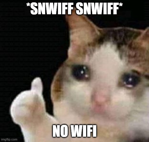 sad thumbs up cat |  *SNWIFF SNWIFF*; NO WIFI | image tagged in sad thumbs up cat | made w/ Imgflip meme maker